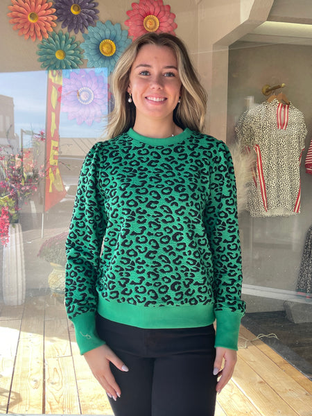 Kelley Leopard Top